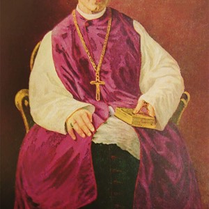 Tijek dosadašnjeg postupka za slugu Božjega Josipa Langa